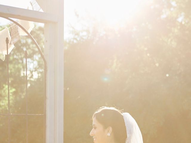 Mike and Diana&apos;s wedding in Kleinburg, Ontario 27