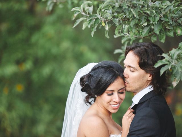 Mike and Diana&apos;s wedding in Kleinburg, Ontario 45
