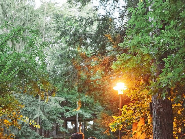 Mike and Diana&apos;s wedding in Kleinburg, Ontario 49