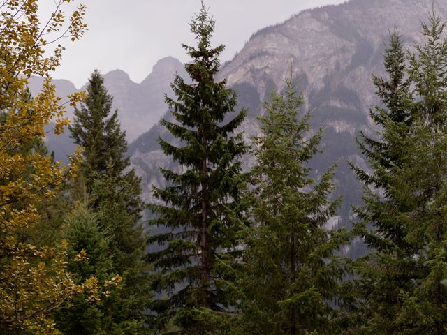 Crystal and Del's wedding in Valemount, British Columbia 29