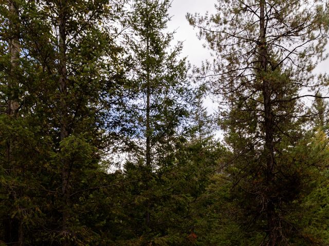 Crystal and Del's wedding in Valemount, British Columbia 45