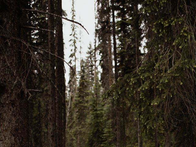 Dane and Robyn&apos;s wedding in Field, British Columbia 92