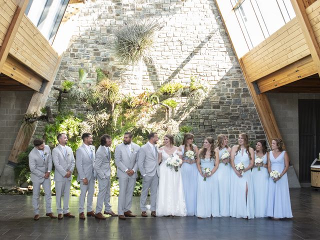 Alex and Hannah's wedding in Calgary, Alberta 1