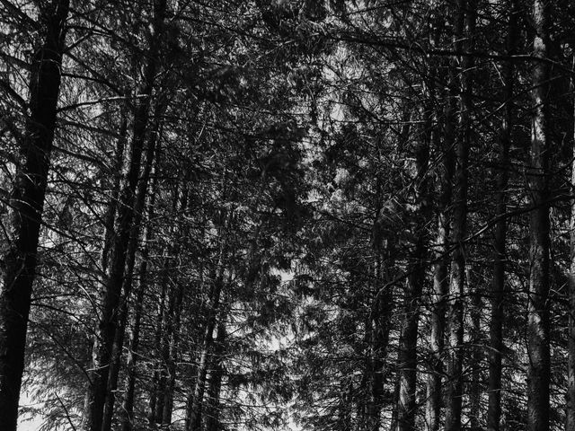 Arik and Jennifer's wedding in Markham, Ontario 12