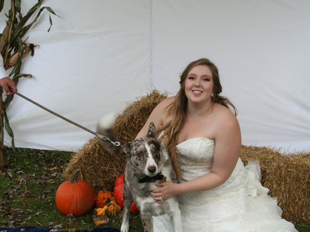 Connor and Sara&apos;s wedding in Ridgeway, Ontario 6