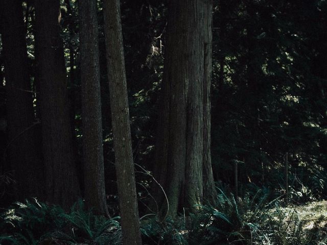 Jack and Emily&apos;s wedding in Bowen Island, British Columbia 15