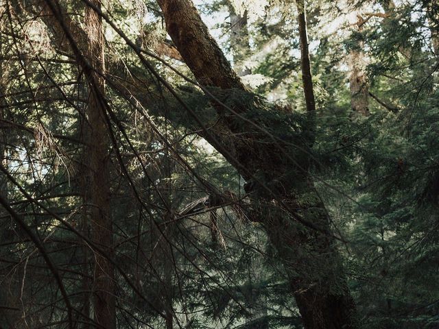 Jack and Emily&apos;s wedding in Bowen Island, British Columbia 56