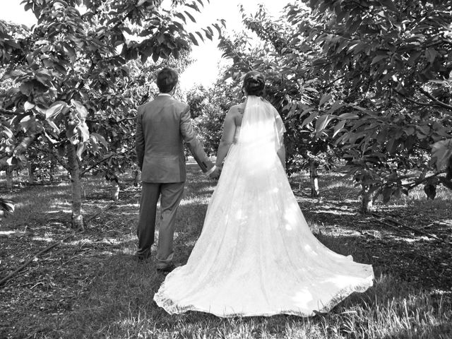 Scott and Megan's wedding in Vernon, British Columbia 21