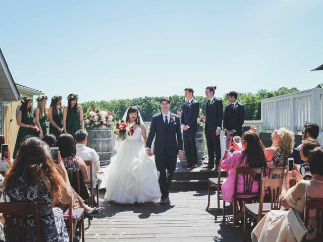 Quincy and Natalia&apos;s wedding in Vineland, Ontario 51