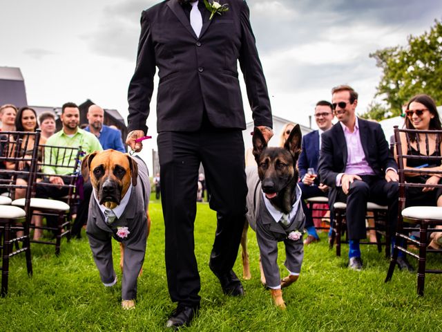 David and Jen's wedding in Niagara on the Lake, Ontario 20