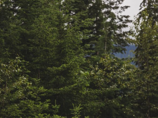 Angela and Rodger's wedding in Hope, British Columbia 51
