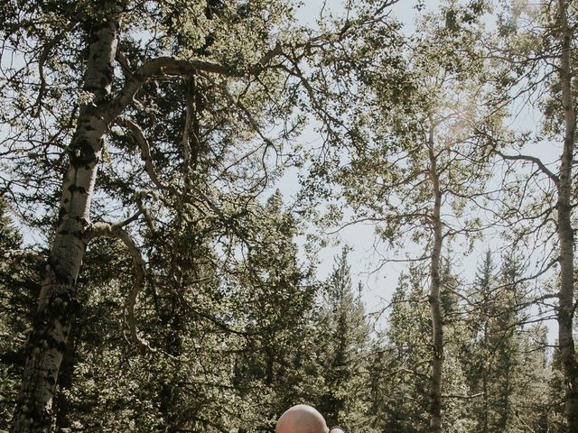 Dustin and Leslie&apos;s wedding in Bragg Creek, Alberta 4