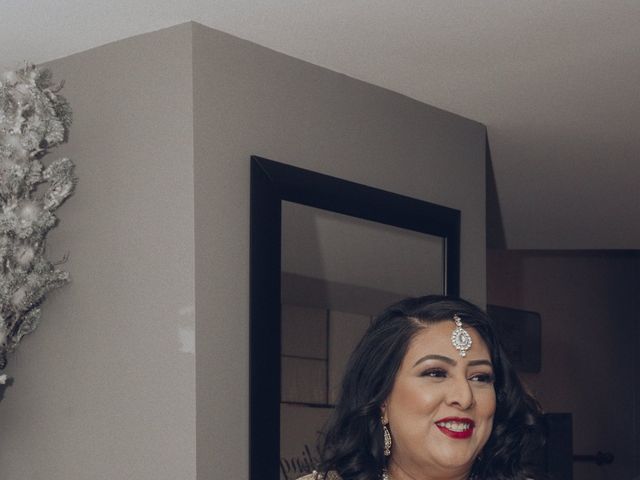 Sandra and Krishna&apos;s wedding in Toronto, Ontario 46