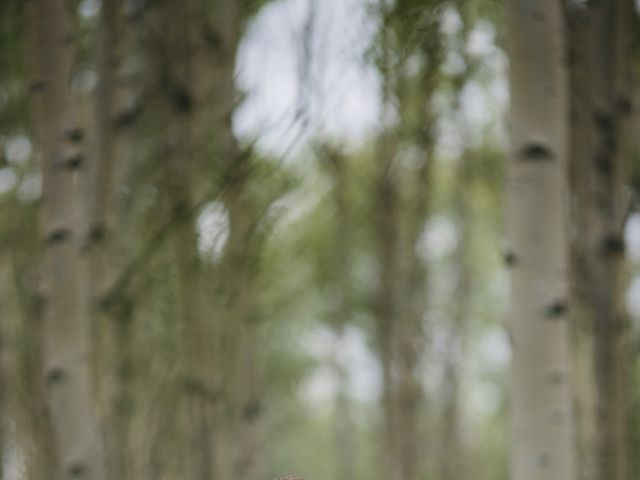 Beau and Miranda's wedding in Jasper, Alberta 18
