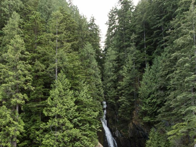 Nick and Maryam's wedding in Vancouver, British Columbia 44