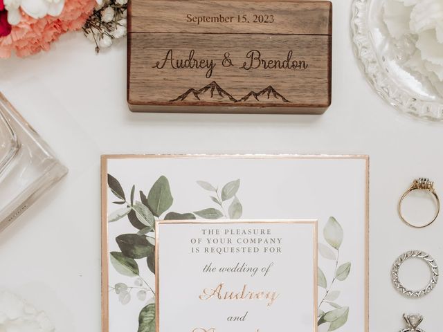 Brendon and Audrey's wedding in Langley, British Columbia 7