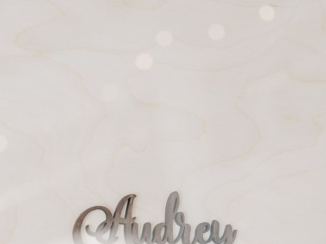 Brendon and Audrey's wedding in Langley, British Columbia 12