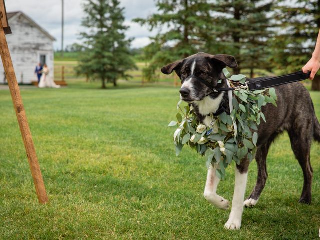 Michael and Sarah&apos;s wedding in Ponoka, Alberta 7