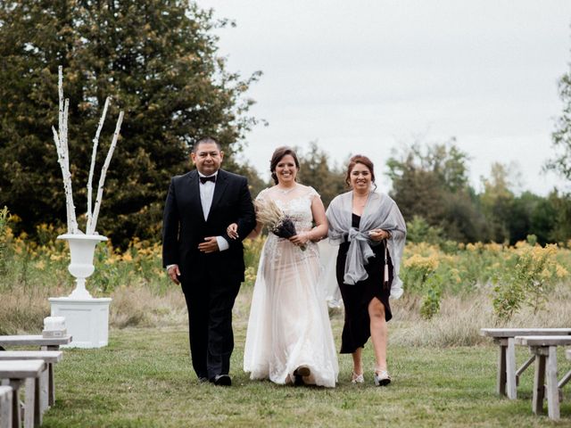 Reza and Nancy&apos;s wedding in Bolsover, Ontario 12