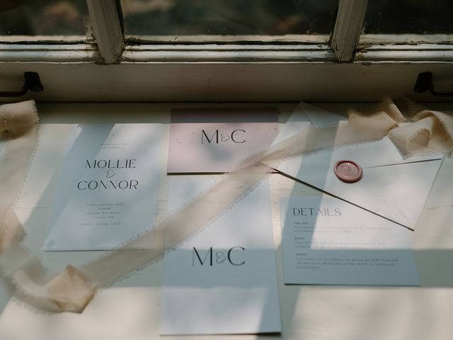 Connnor and Mollie's wedding in Toronto, Ontario 4