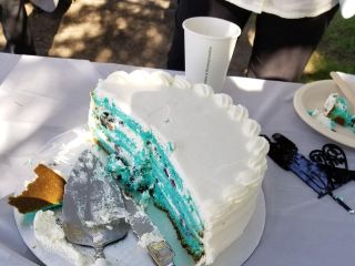 The wedding of Sophie and Geoff 1
