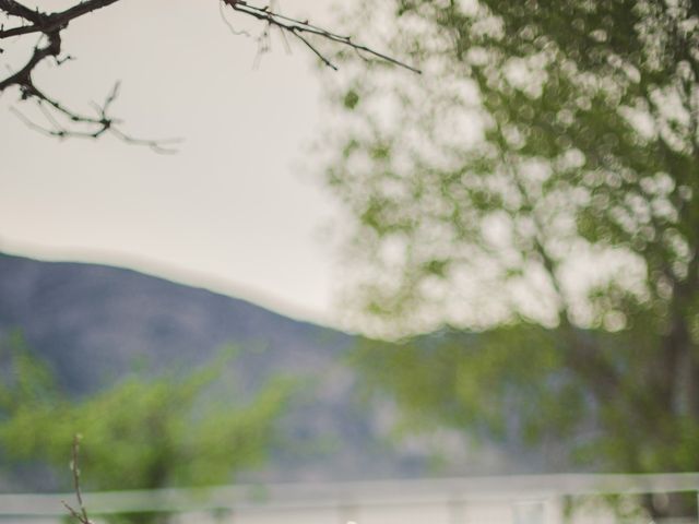 Kira and Nate's wedding in Penticton, British Columbia 8