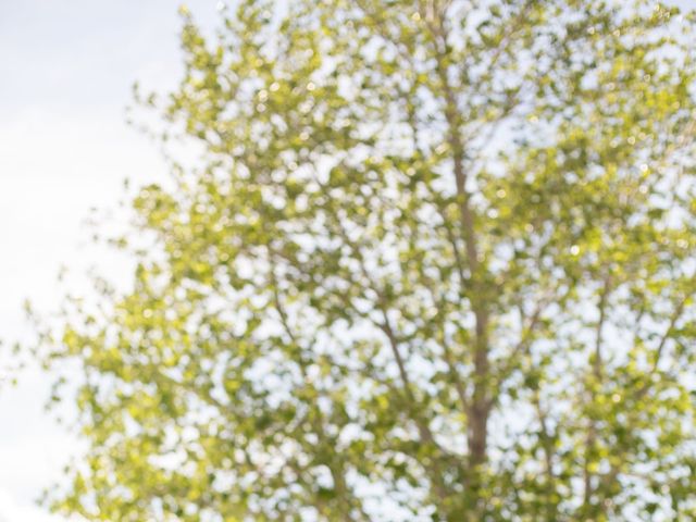 Kira and Nate's wedding in Penticton, British Columbia 25