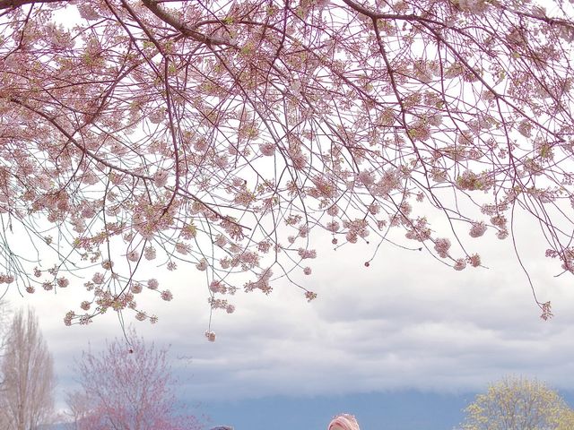 Elle and Seven's wedding in Vancouver, British Columbia 3