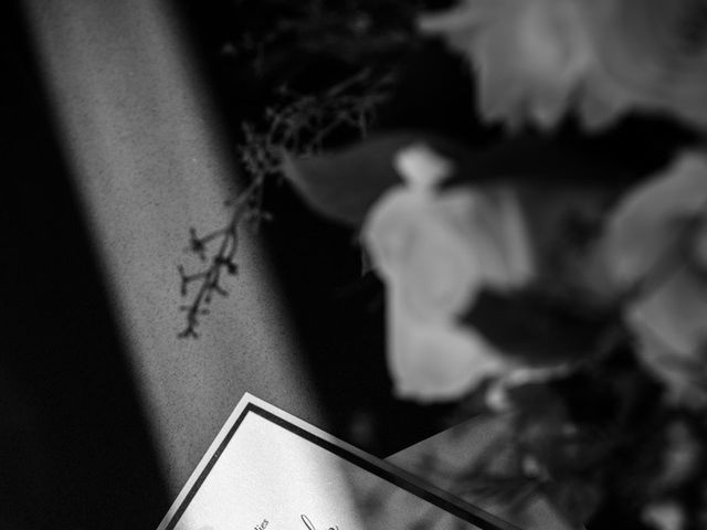 Jon and Sally's wedding in Toronto, Ontario 166