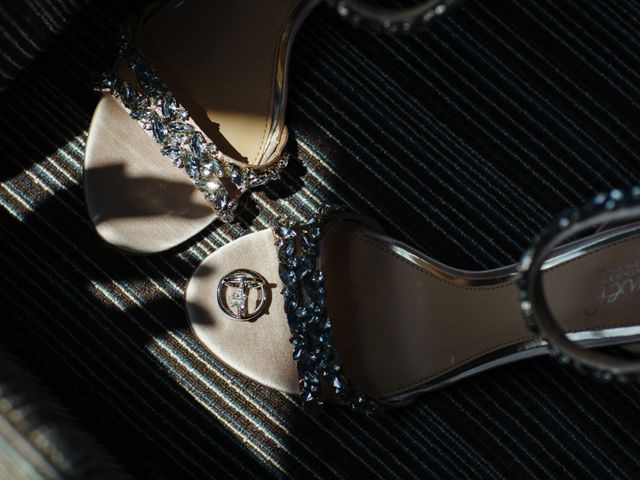 Mike and Tina's wedding in Toronto, Ontario 7