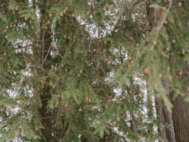 Ben and Ashley's wedding in Port Carling, Ontario 30