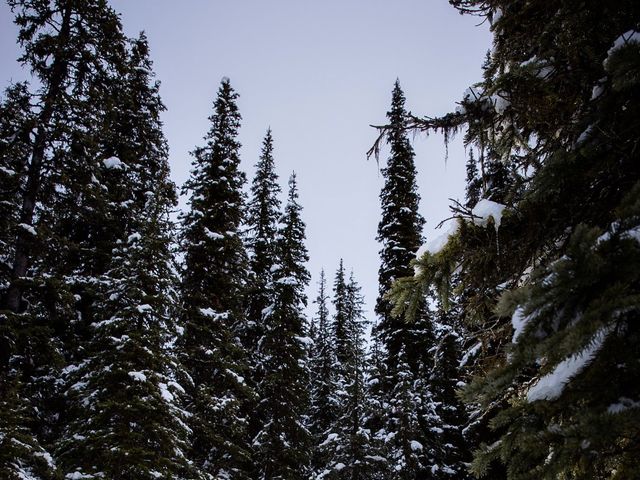Phillip and Trina's wedding in Lake Louise, Alberta 37
