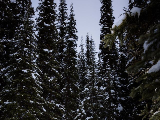 Phillip and Trina's wedding in Lake Louise, Alberta 38