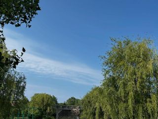 Madison &amp; Daniel's wedding 3