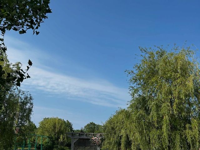 Daniel and Madison's wedding in Niagara on the Lake, Ontario 5