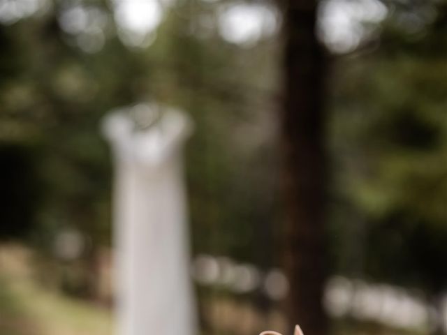 Kevin and Emily's wedding in Jasper, Alberta 4