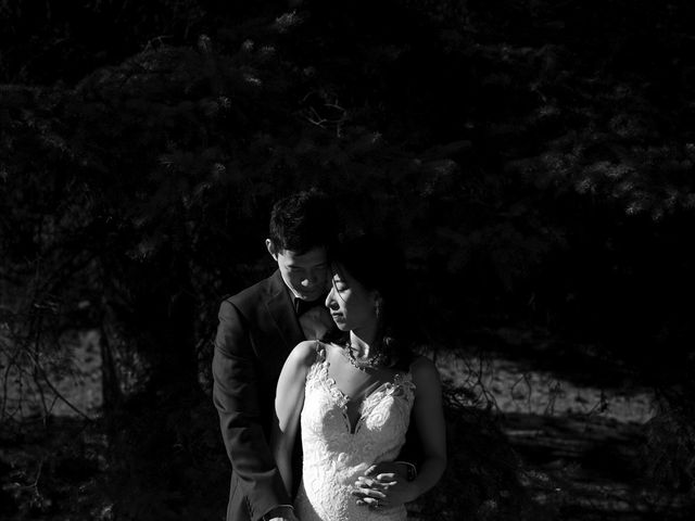 Andrew and Susan&apos;s wedding in Calgary, Alberta 3