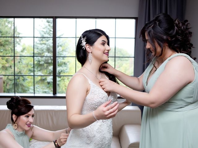 Daniel and Mahtab&apos;s wedding in Kettleby, Ontario 12