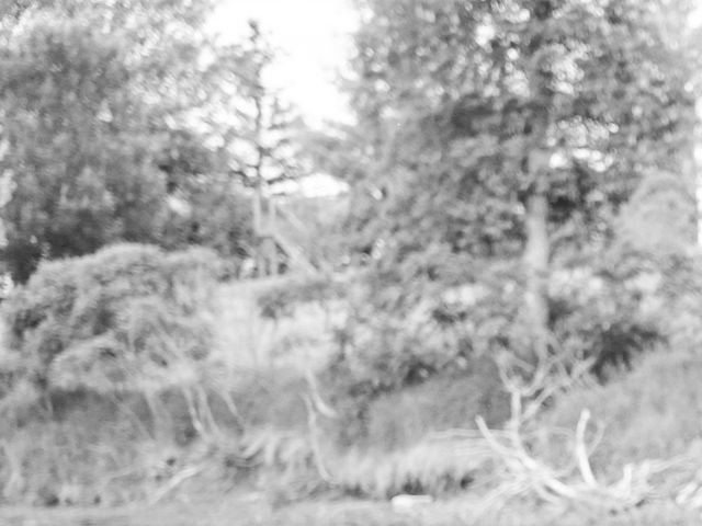 Jordan and Alexandra's wedding in Casselman, Ontario 82