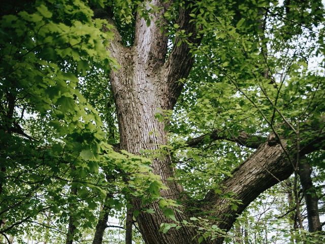 Andy and Hailey&apos;s wedding in Dunnville, Ontario 24