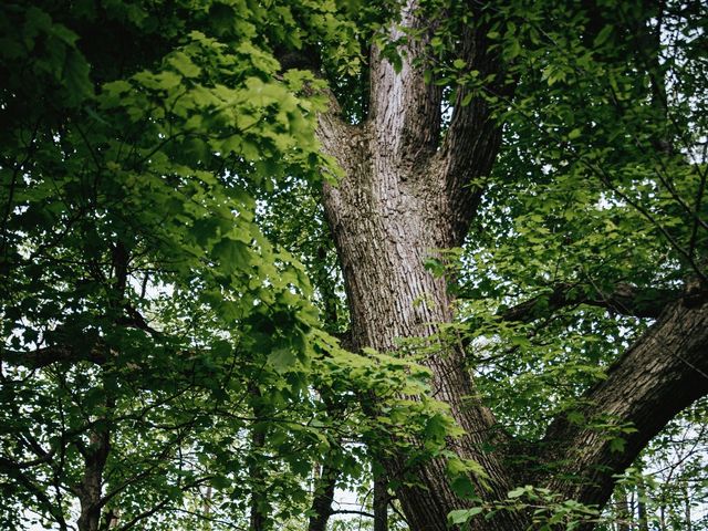 Andy and Hailey&apos;s wedding in Dunnville, Ontario 1