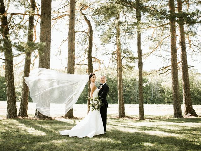 Quang and Stella&apos;s wedding in Tottenham, Ontario 1
