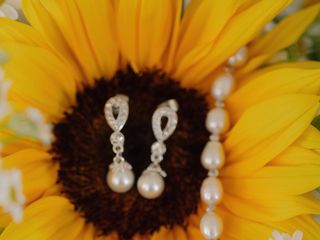 Roberta &amp; Dylan's wedding 1