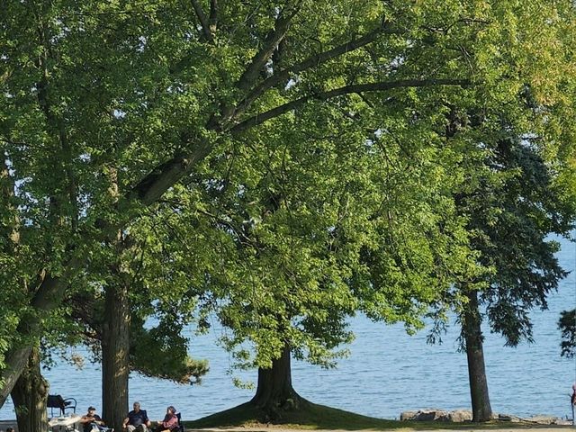 Luke and Clara&apos;s wedding in Burlington, Ontario 4