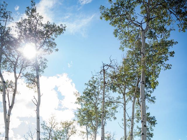 Brock and Tabitha&apos;s wedding in Black Diamond, Alberta 43