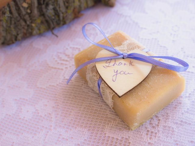 Nick and Emily&apos;s wedding in Simcoe, Ontario 5