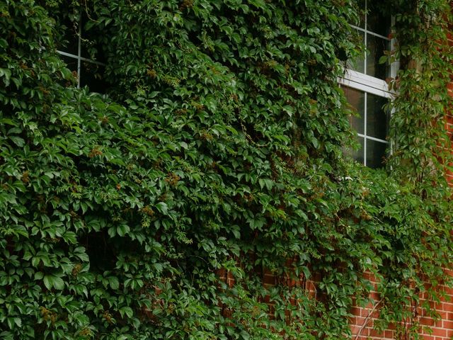 Michael and Tori's wedding in Edmonton, Alberta 6