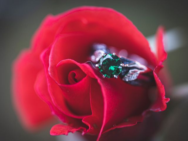 Christopher and Kathleena's wedding in Prince Edward County, Ontario 11