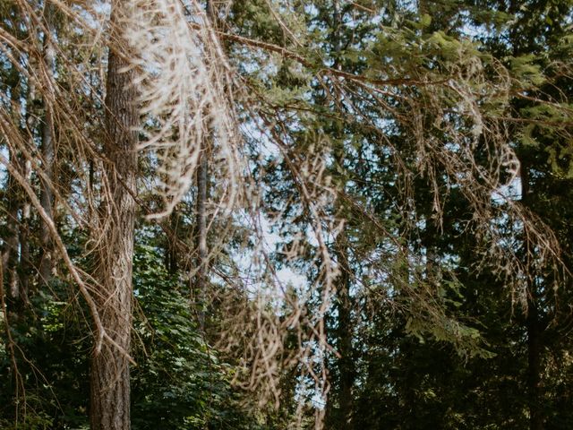 Anthony and Hannah's wedding in Halfmoon Bay, British Columbia 78