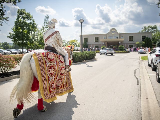 Steven and Bianca's wedding in Hamilton, Ontario 13